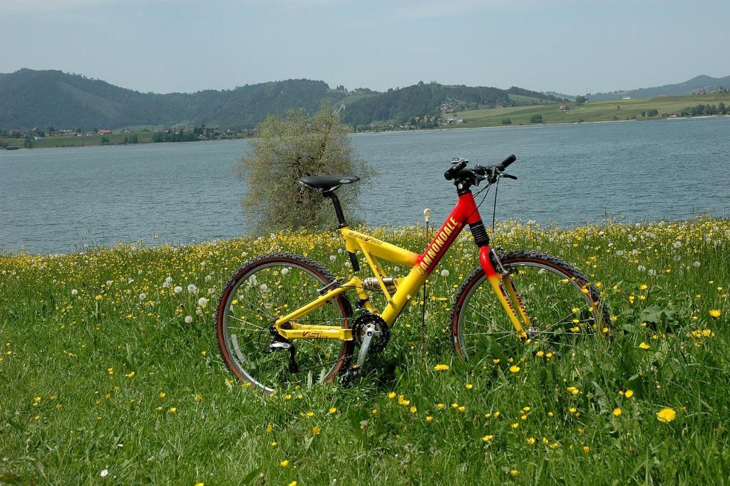 Willerzell B&B Ferienhof Am See מראה חיצוני תמונה